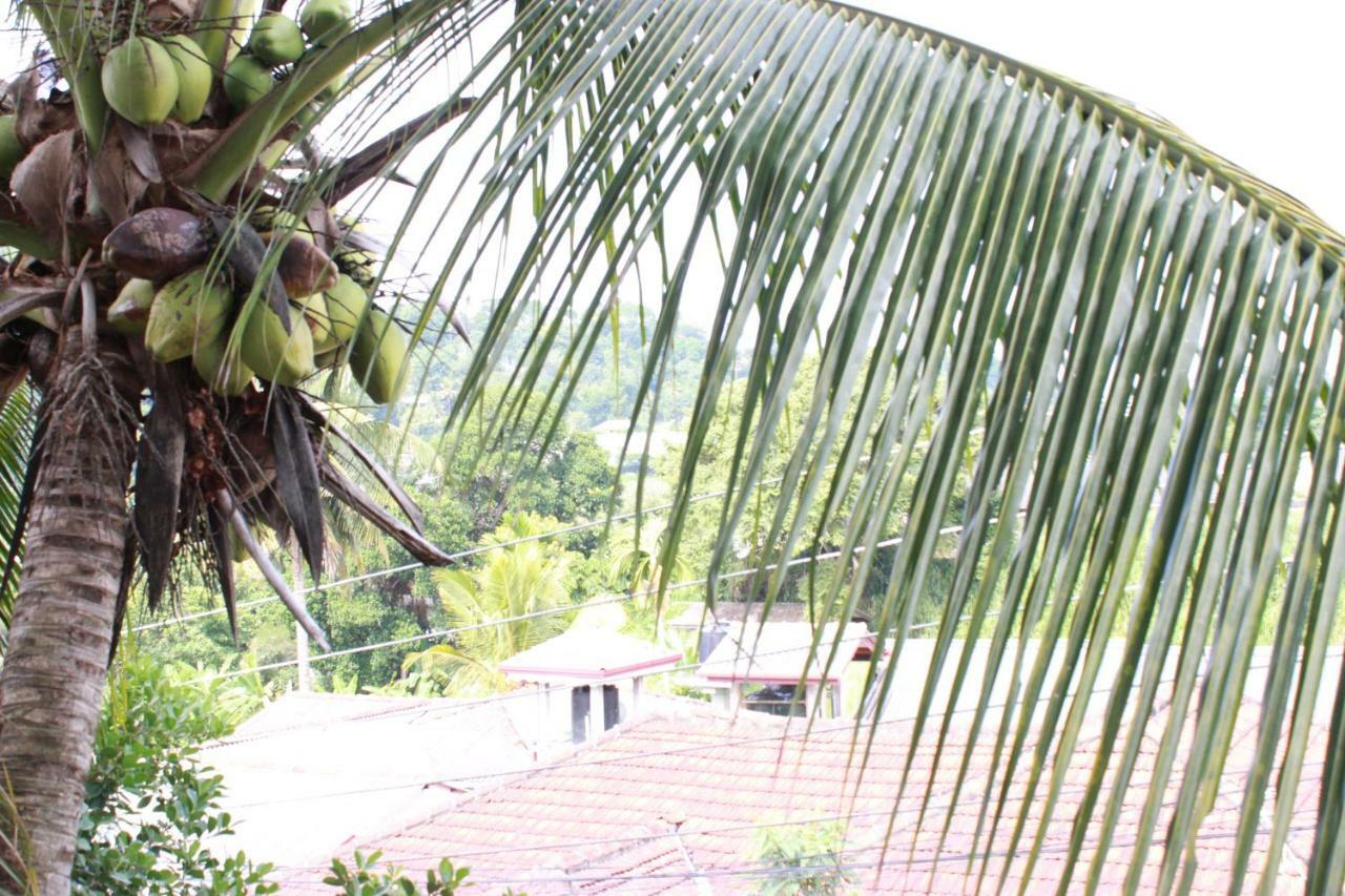 Resident View Homestay Kandy Exterior foto